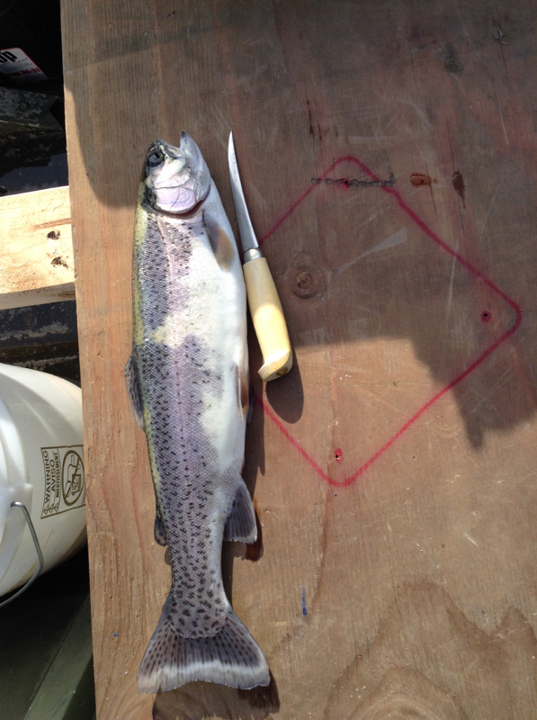 Horseshoe Lake WA Fishing Reports, Map & Hot Spots