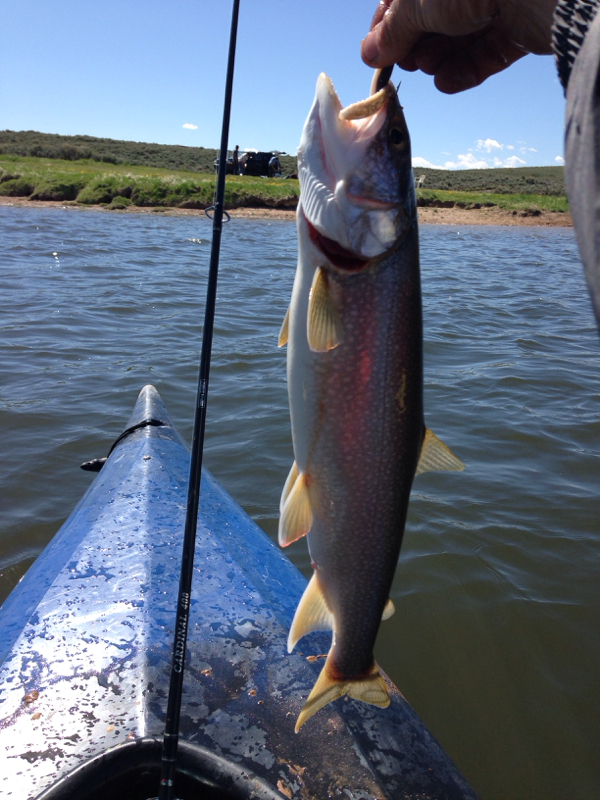 Williams Fork Reservoir CO Fishing Reports, Map & Hot Spots