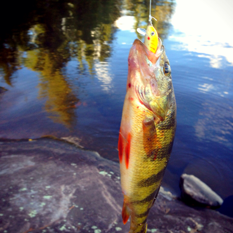 Horseshoe Lake NY Fishing Reports, Map & Hot Spots