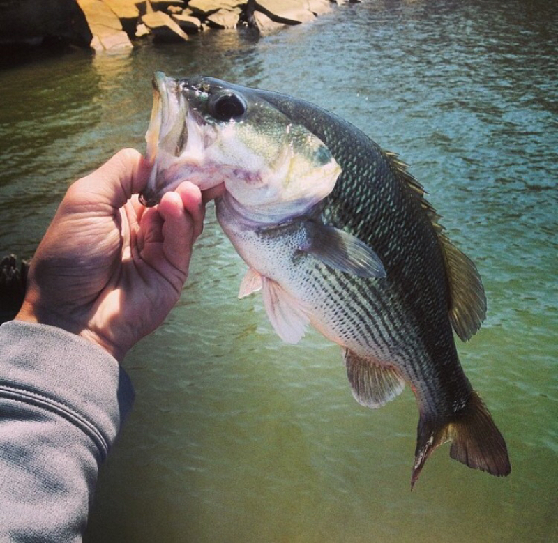 Keystone Lake OK Fishing Reports, Map & Hot Spots