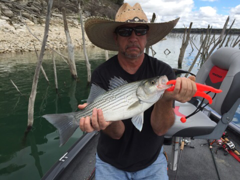 Belton Lake TX Fishing Reports, Map & Hot Spots