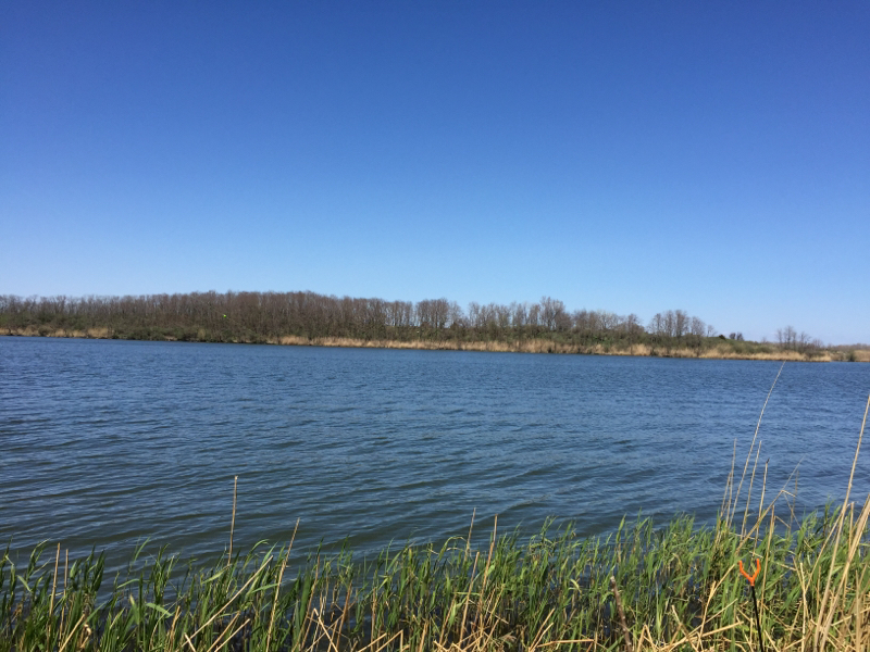 Braidwood Lake IL Fishing Reports, Map & Hot Spots