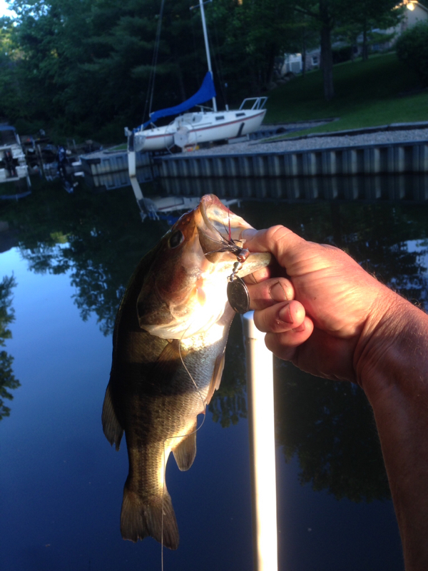 Morse Reservoir IN Fishing Reports, Map & Hot Spots