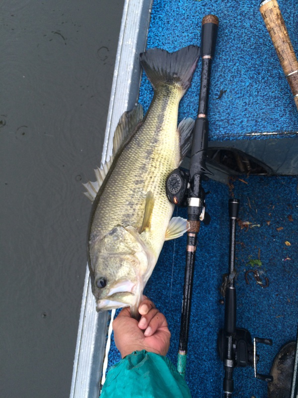 Sandy River Reservoir VA Fishing Reports, Map & Hot Spots