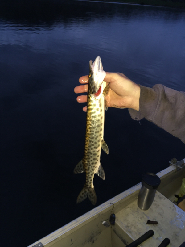 Pequest River NJ Fishing Reports, Map & Hot Spots
