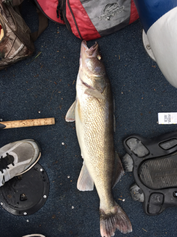 Marion Reservoir KS Fishing Reports, Map & Hot Spots