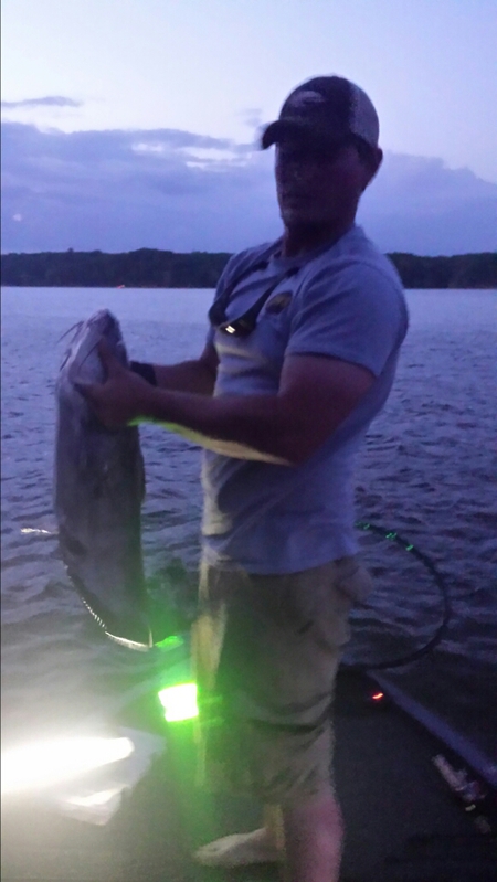 John H. Kerr Reservoir VA Fishing Reports, Map & Hot Spots