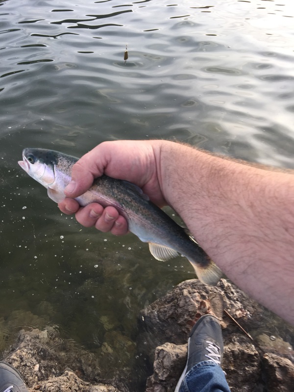 Echo Reservoir UT Fishing Reports, Map & Hot Spots