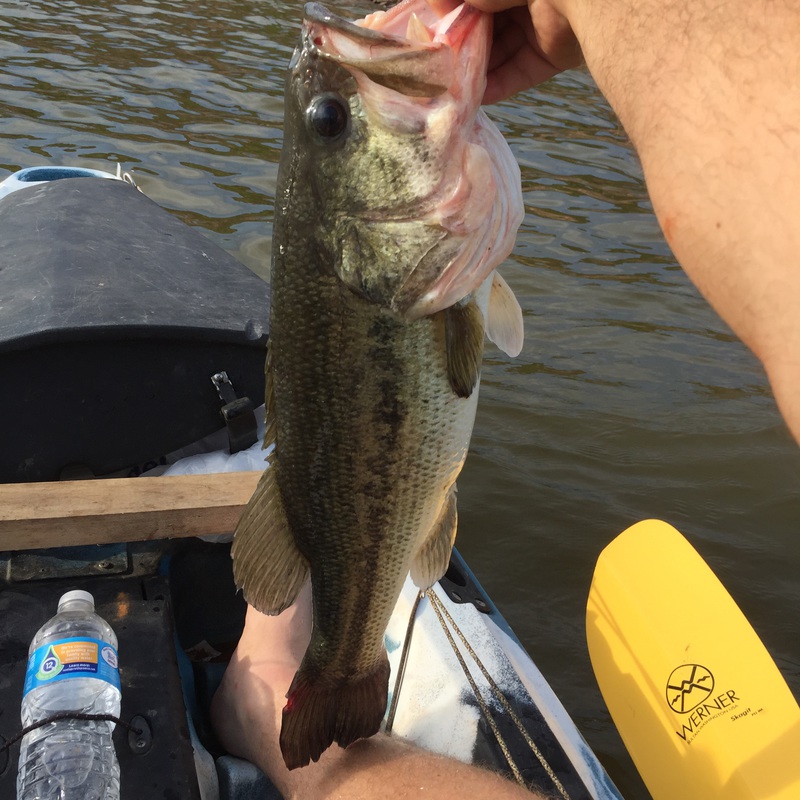 Liberty Lake OK Fishing Reports, Map & Hot Spots
