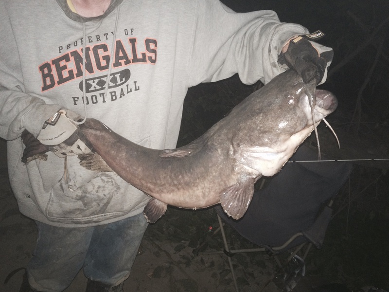 East Fork Lake OH Fishing Reports, Map & Hot Spots