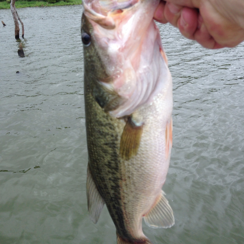 Zorinsky Lake Recreation Area NE Fishing Reports, Map & Hot Spots