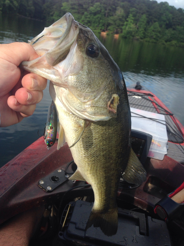 Stone Mountain Lake GA Fishing Reports, Map & Hot Spots