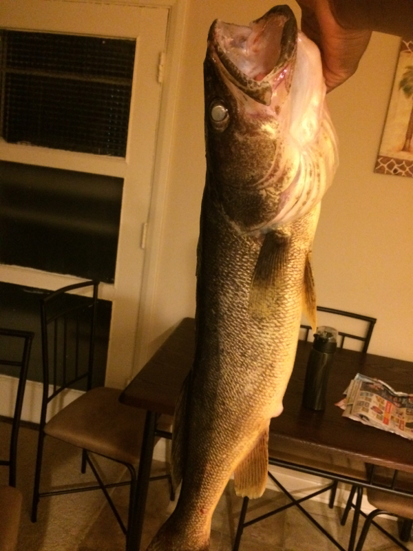 Eaton Brook Reservoir NY Fishing Reports, Map & Hot Spots