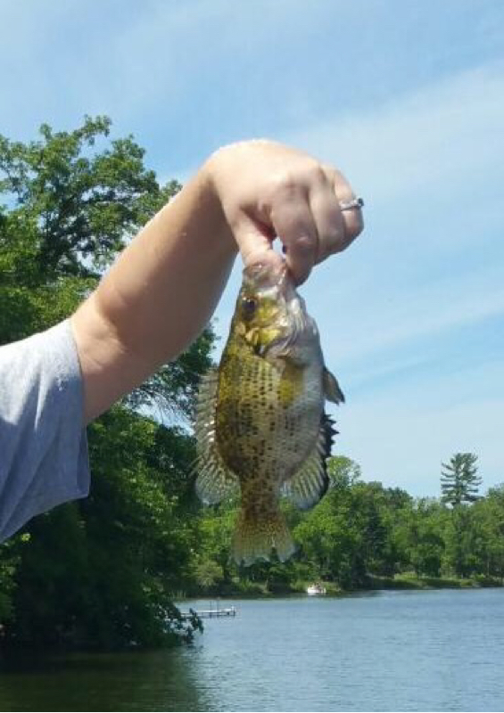 Lake Toad MN Fishing Reports, Map & Hot Spots