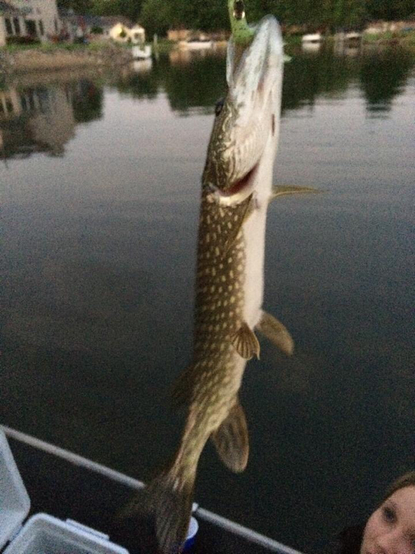 Simonton Lake IN Fishing Reports, Map & Hot Spots