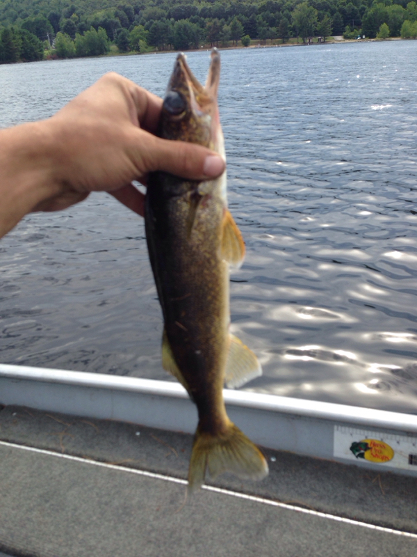 great-sacandaga-lake-ny-fishing-reports-map-hot-spots