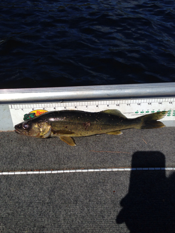 Great Sacandaga Lake NY Fishing Reports, Map & Hot Spots