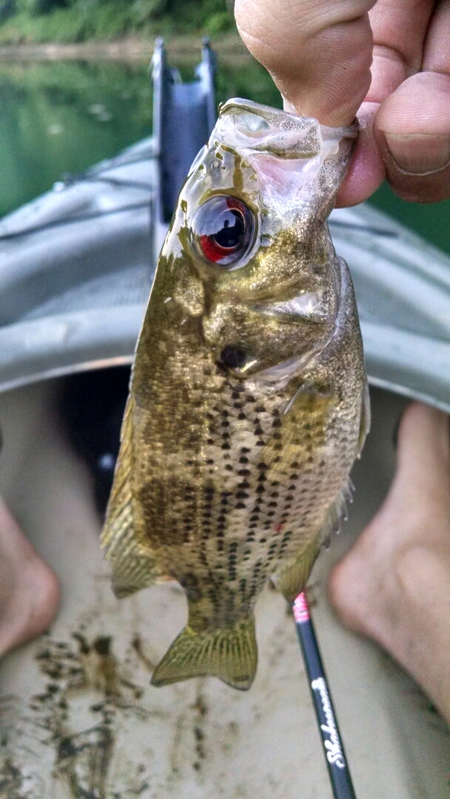 River PA Fishing Reports, Map & Hot Spots