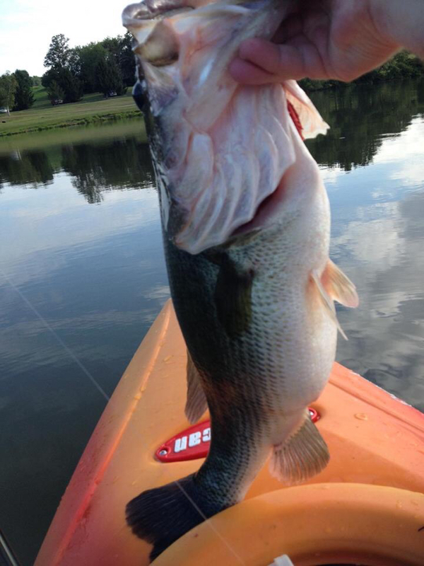 Mammoth Lake PA Fishing Reports, Map & Hot Spots