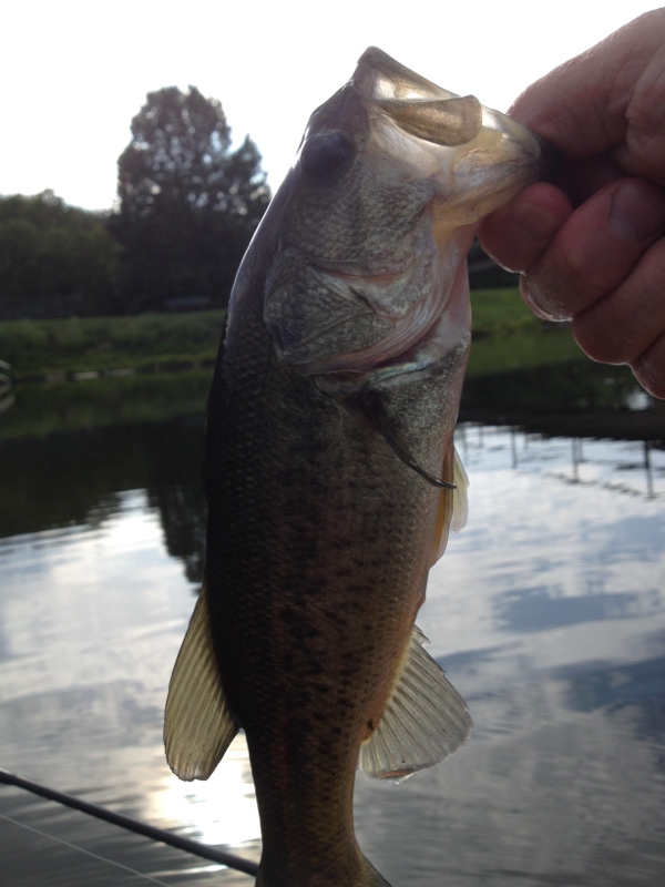 Mammoth Lake PA Fishing Reports, Map & Hot Spots