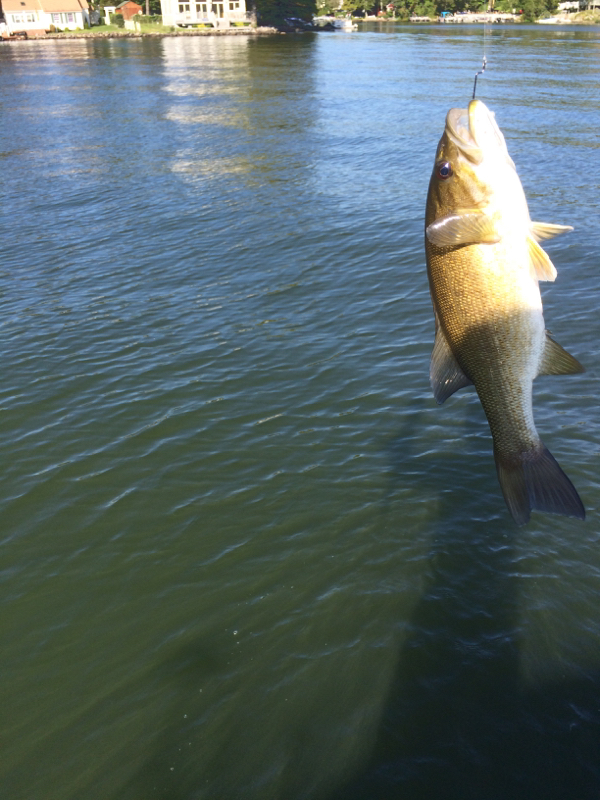 Greenwood Lake NY Fishing Reports, Map & Hot Spots