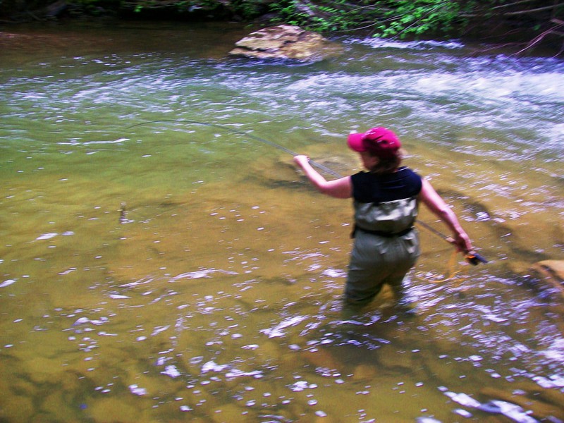 Clear Fork WV Fishing Reports, Map & Hot Spots
