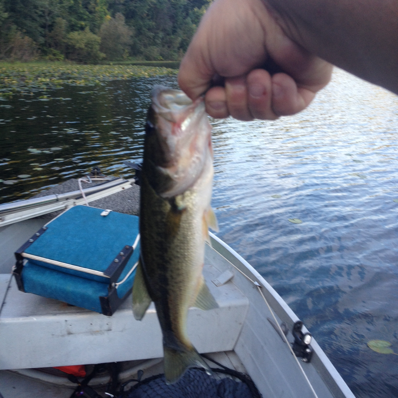 Stone Lake IN Fishing Reports, Map & Hot Spots