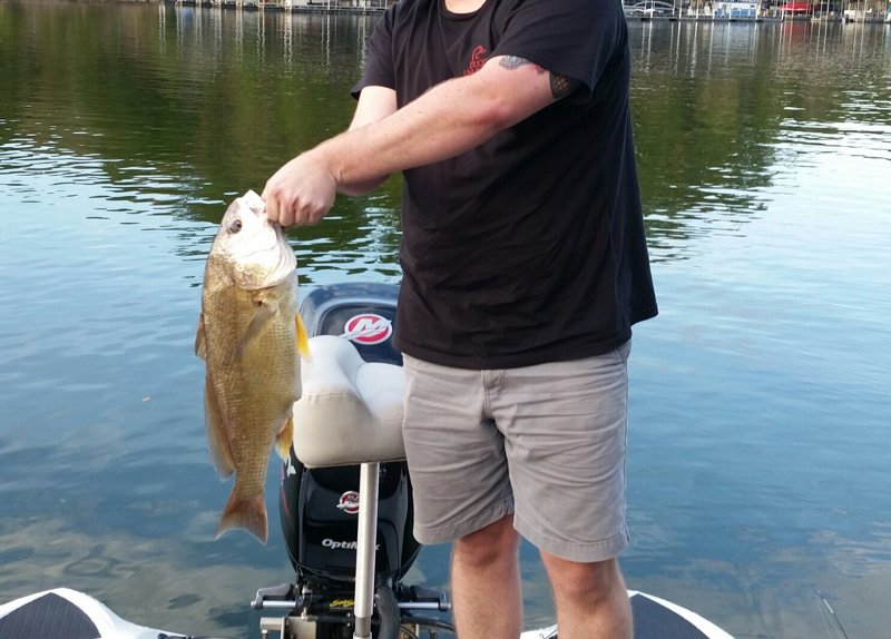 Pickwick Lake AL Fishing Reports, Map & Hot Spots