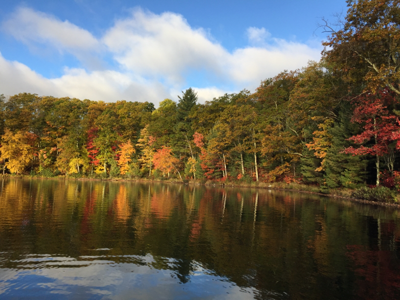 Trout Lake WI Fishing Reports, Map & Hot Spots