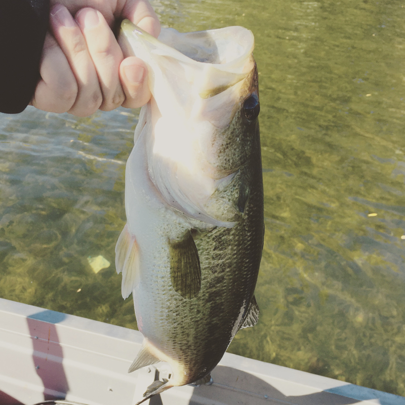 Silver Lake WI Fishing Reports, Map & Hot Spots