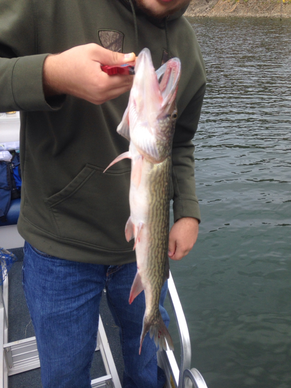 lake-moomaw-va-fishing-reports-map-hot-spots