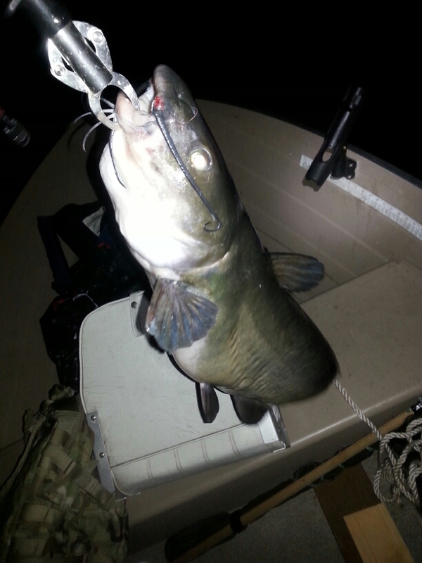 Beltzville Lake PA Fishing Reports, Map & Hot Spots