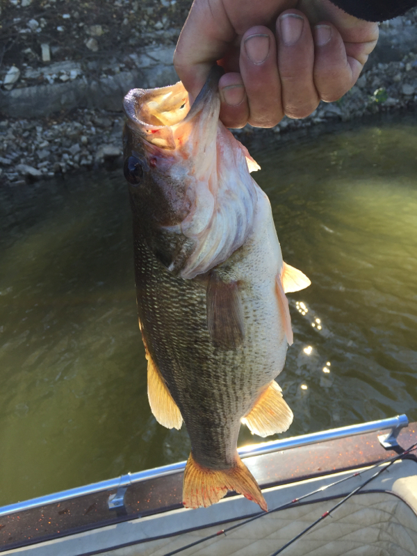 fort-gibson-lake-ok-fishing-reports-map-hot-spots