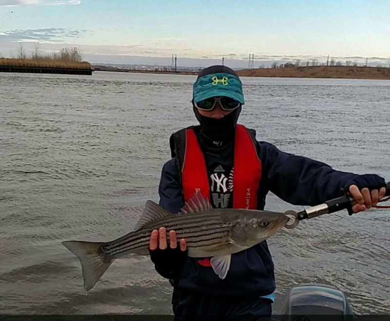 Caught a Striped Bass on Hackensack River using a STORM Swimbait