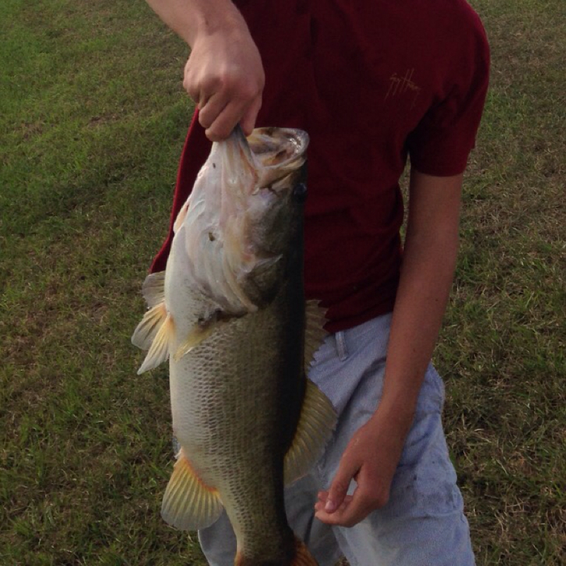 butler-chain-of-lakes-fl-fishing-reports-map-hot-spots