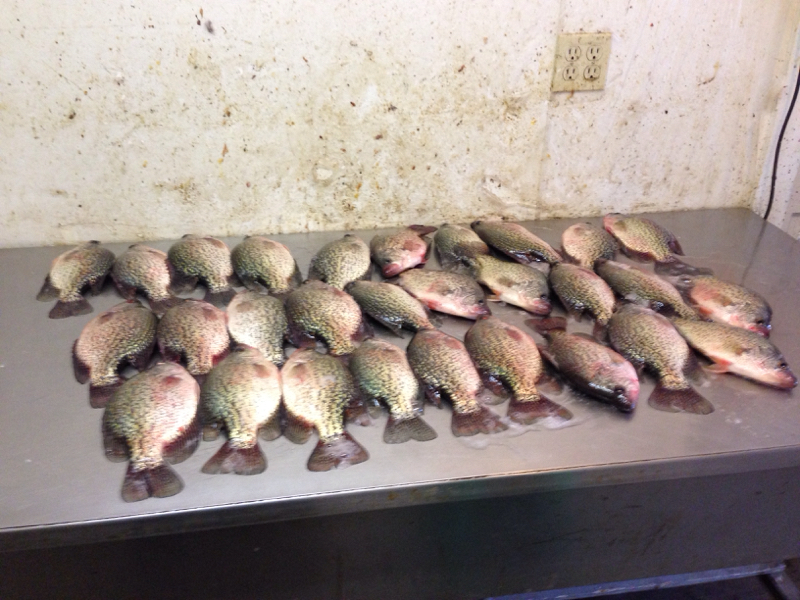 Lake Thompson SD Fishing Reports Map Hot Spots