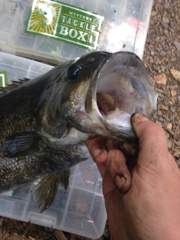 Blue Marsh Lake PA Fishing Reports, Map & Hot Spots
