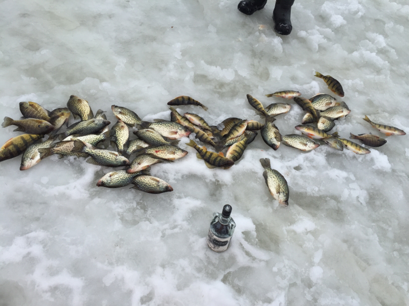 MarshMiller Lake WI Fishing Reports, Map & Hot Spots