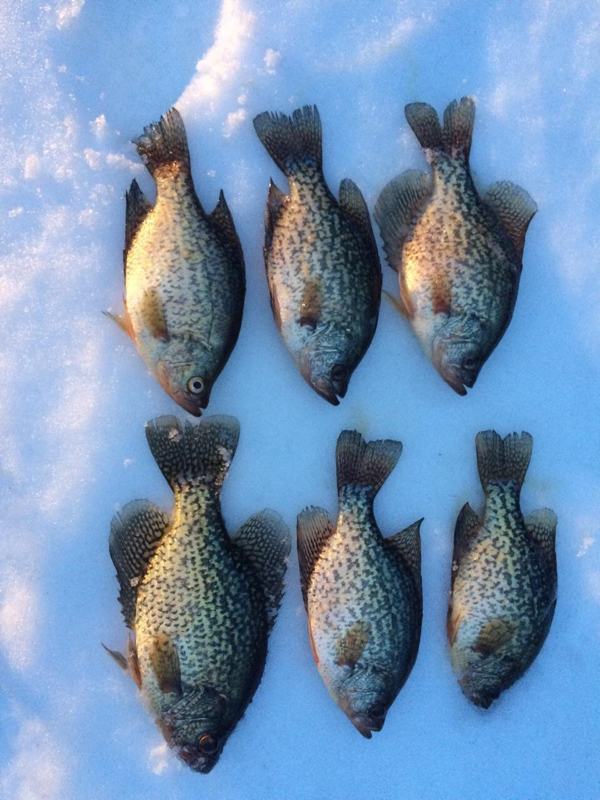 TurtleFlambeau Flowage WI Fishing Reports, Map & Hot Spots
