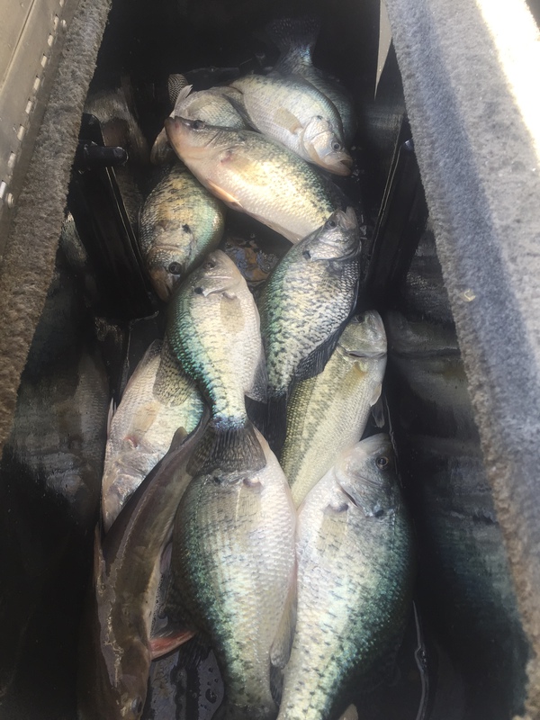 Enid Lake MS Fishing Reports, Map & Hot Spots