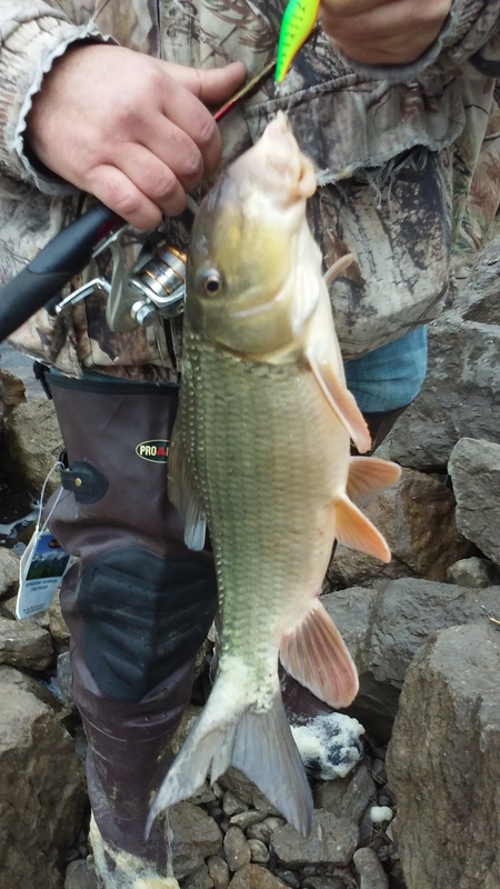 Fishing Shenango River Lake, PA