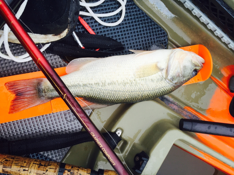 Rough River Lake KY Fishing Reports, Map & Hot Spots