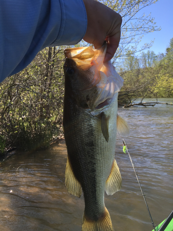 Nickajack Lake TN Fishing Reports, Map & Hot Spots