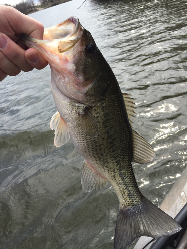 Briggs Woods Lake IA Fishing Reports, Map & Hot Spots