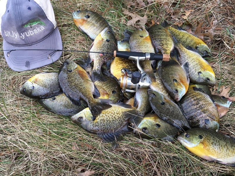 Mason Lake WI Fishing Reports, Map & Hot Spots