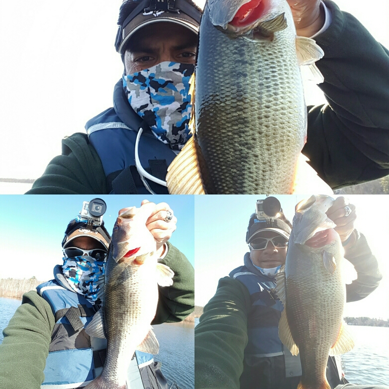 Ballston Lake NY Fishing Reports, Map & Hot Spots