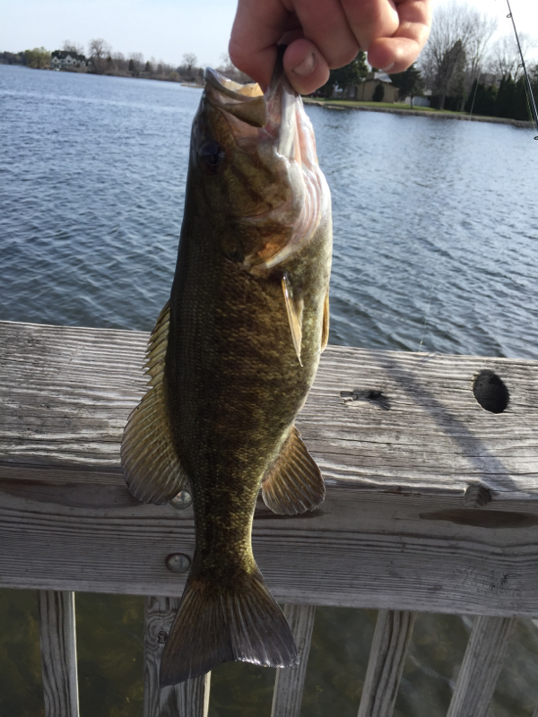 Cass Lake MI Fishing Reports, Map & Hot Spots