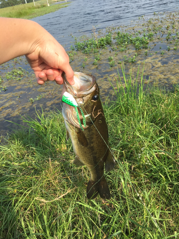 Lake Limestone TX Fishing Reports, Map & Hot Spots