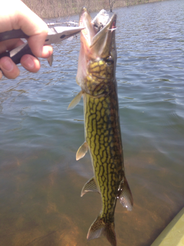 Dan Hunt's Profile on Fishidy