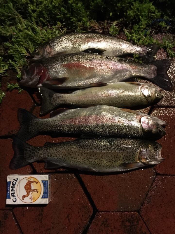 Youghiogheny River PA Fishing Reports, Map & Hot Spots